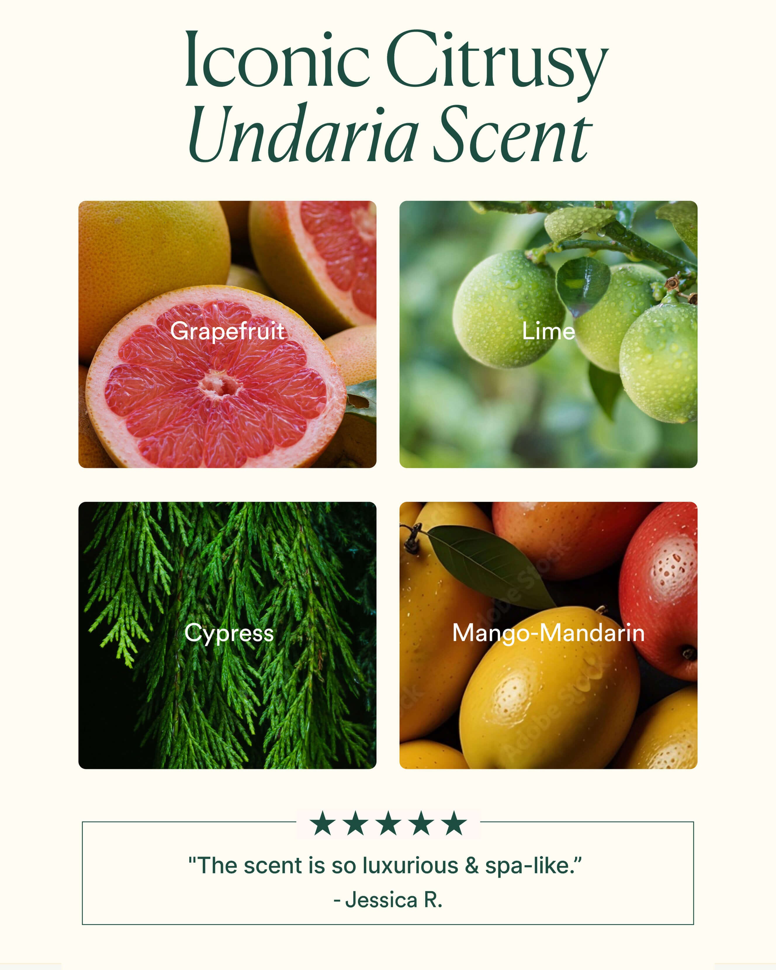 Undaria Algae™Body Oil 7