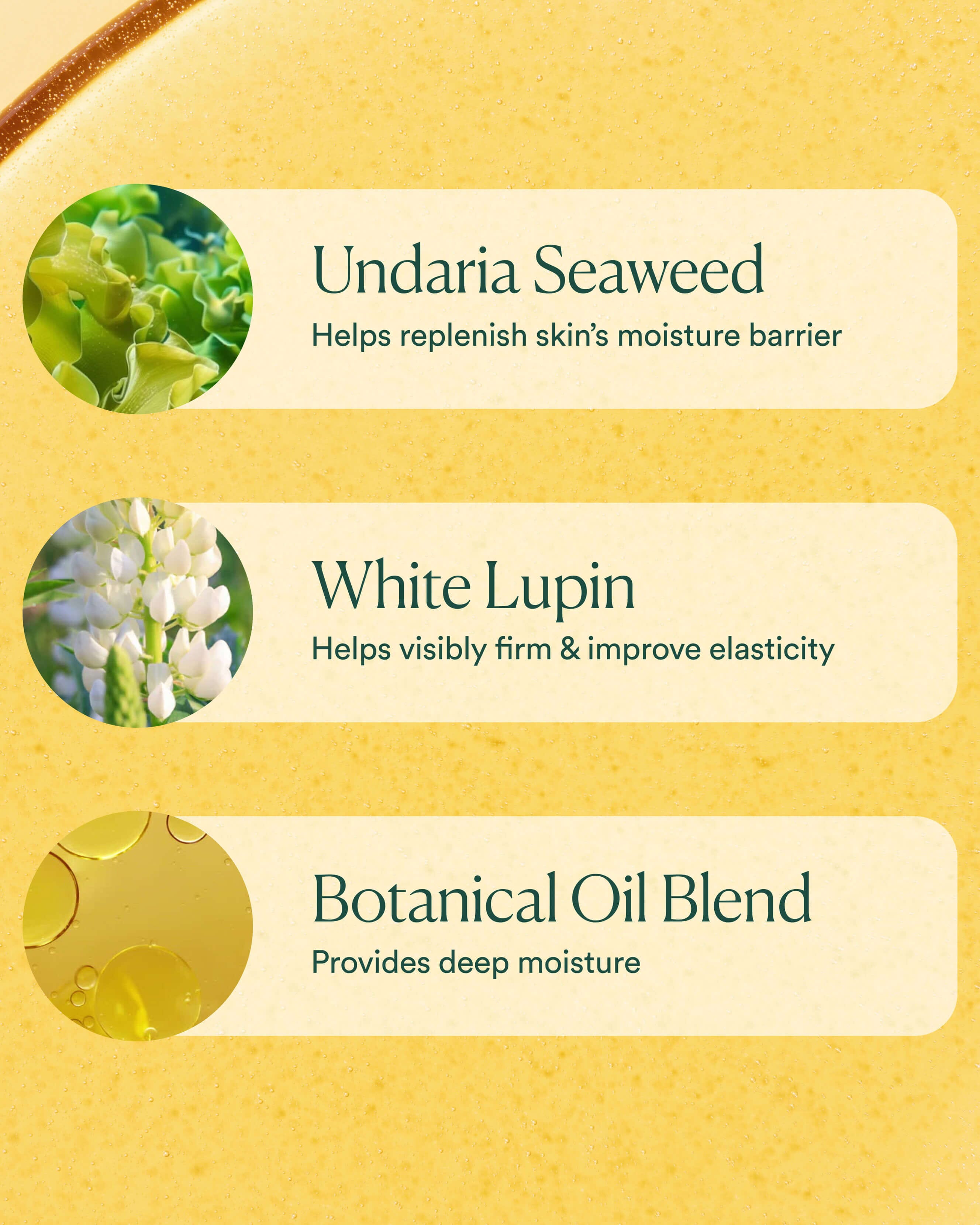 Undaria Algae™Body Oil 9
