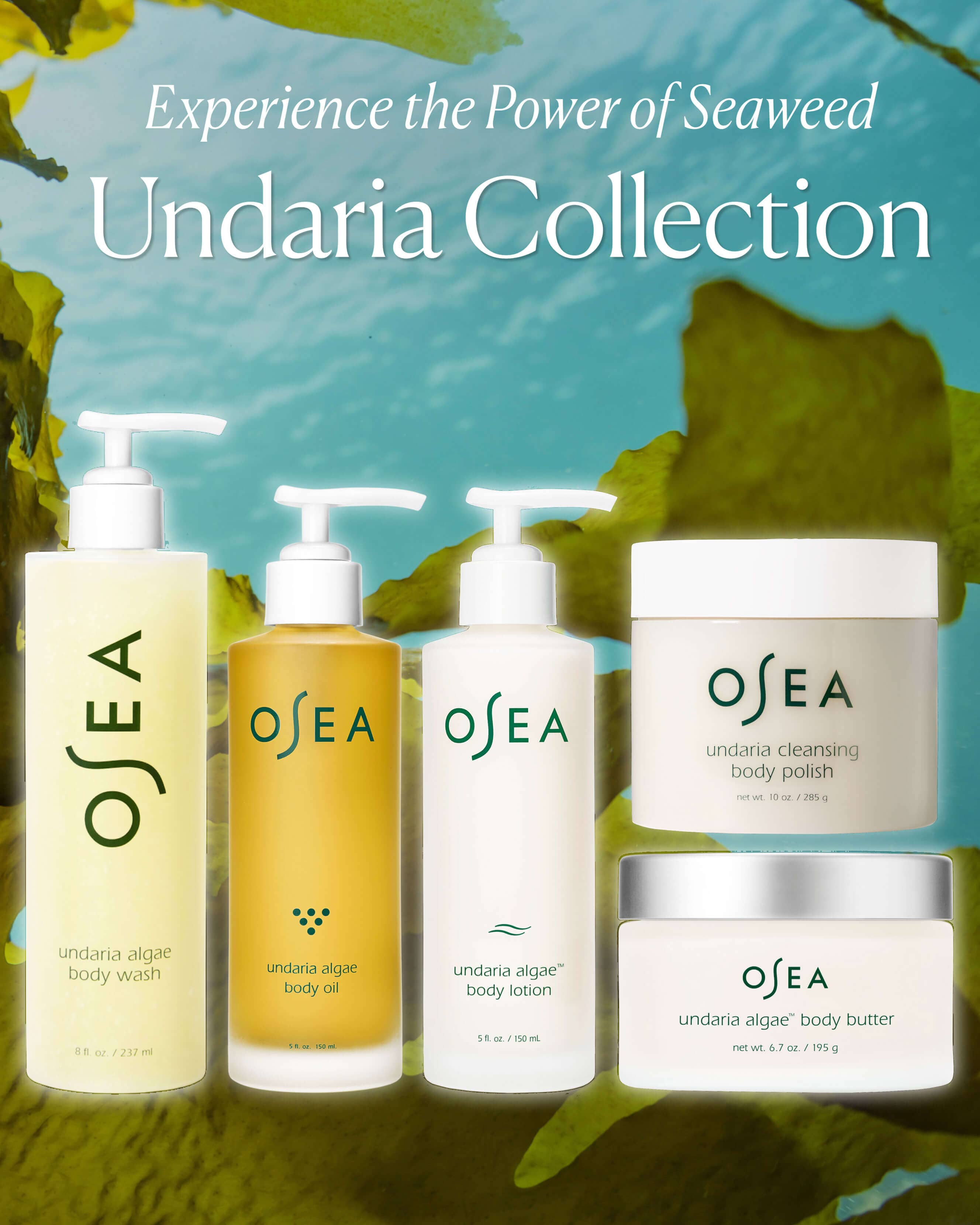 Undaria Algae™Body Oil 5