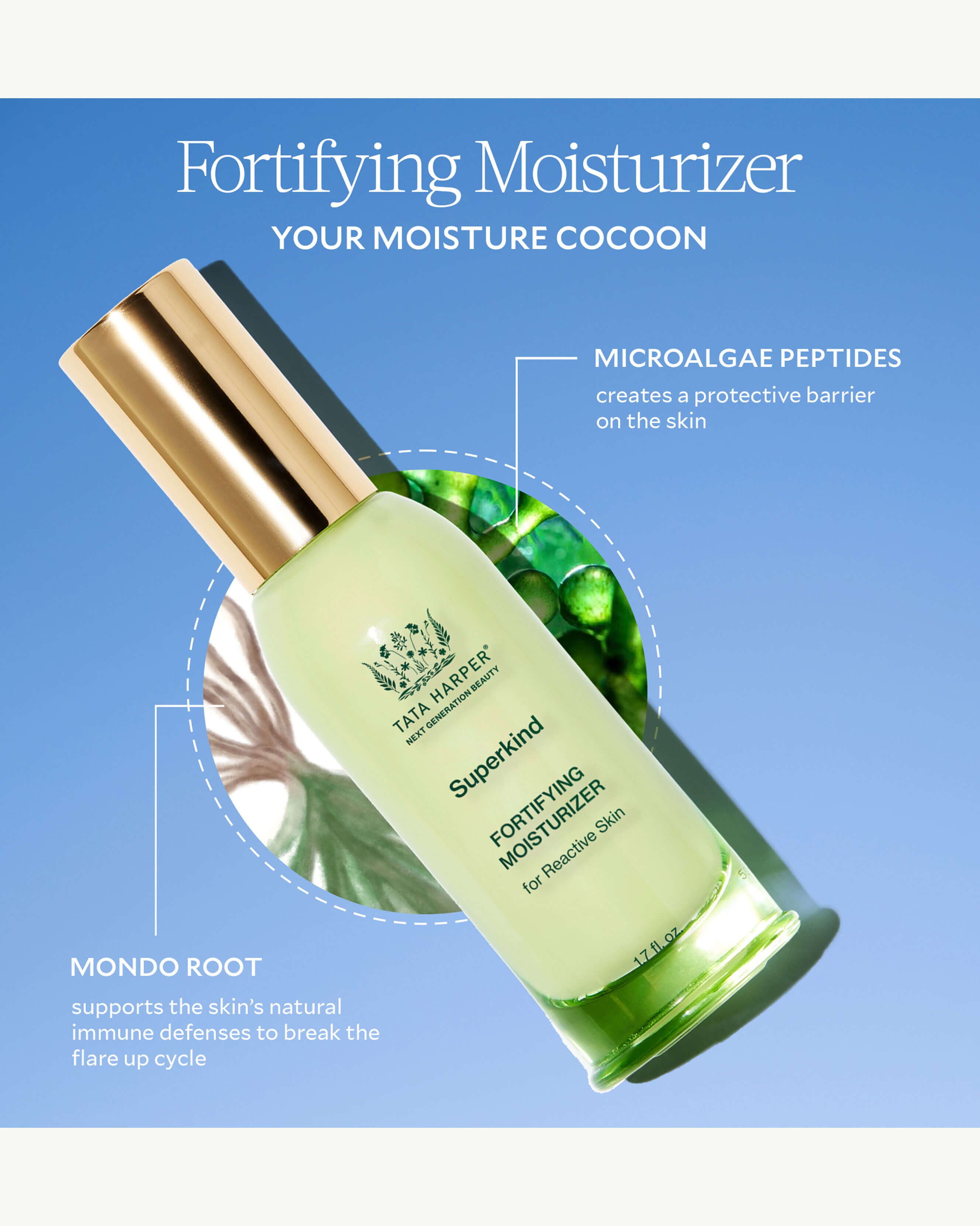 Superkind Fortifying Moisturizer 4