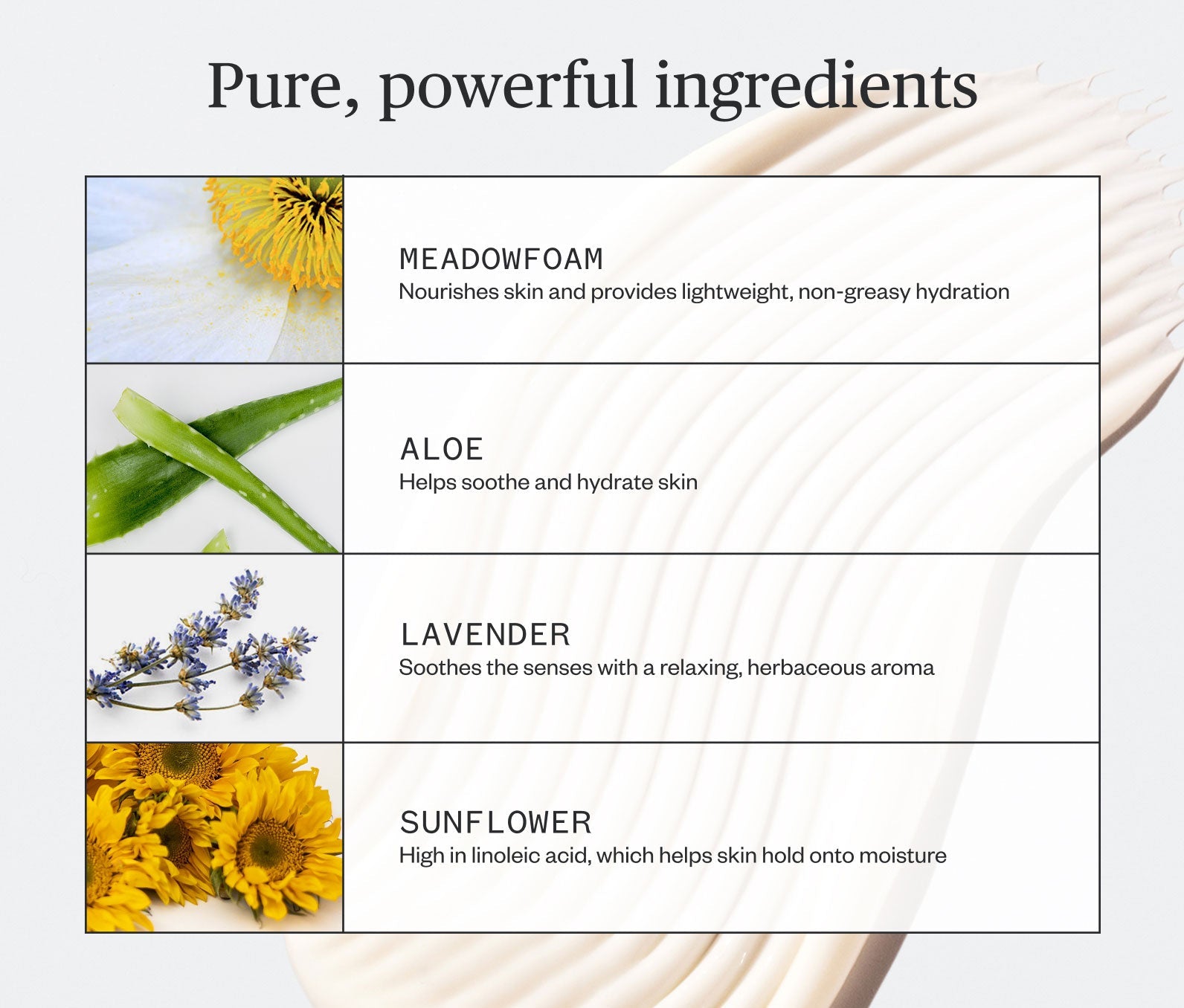 Botanic Buzz Body Lotion 7