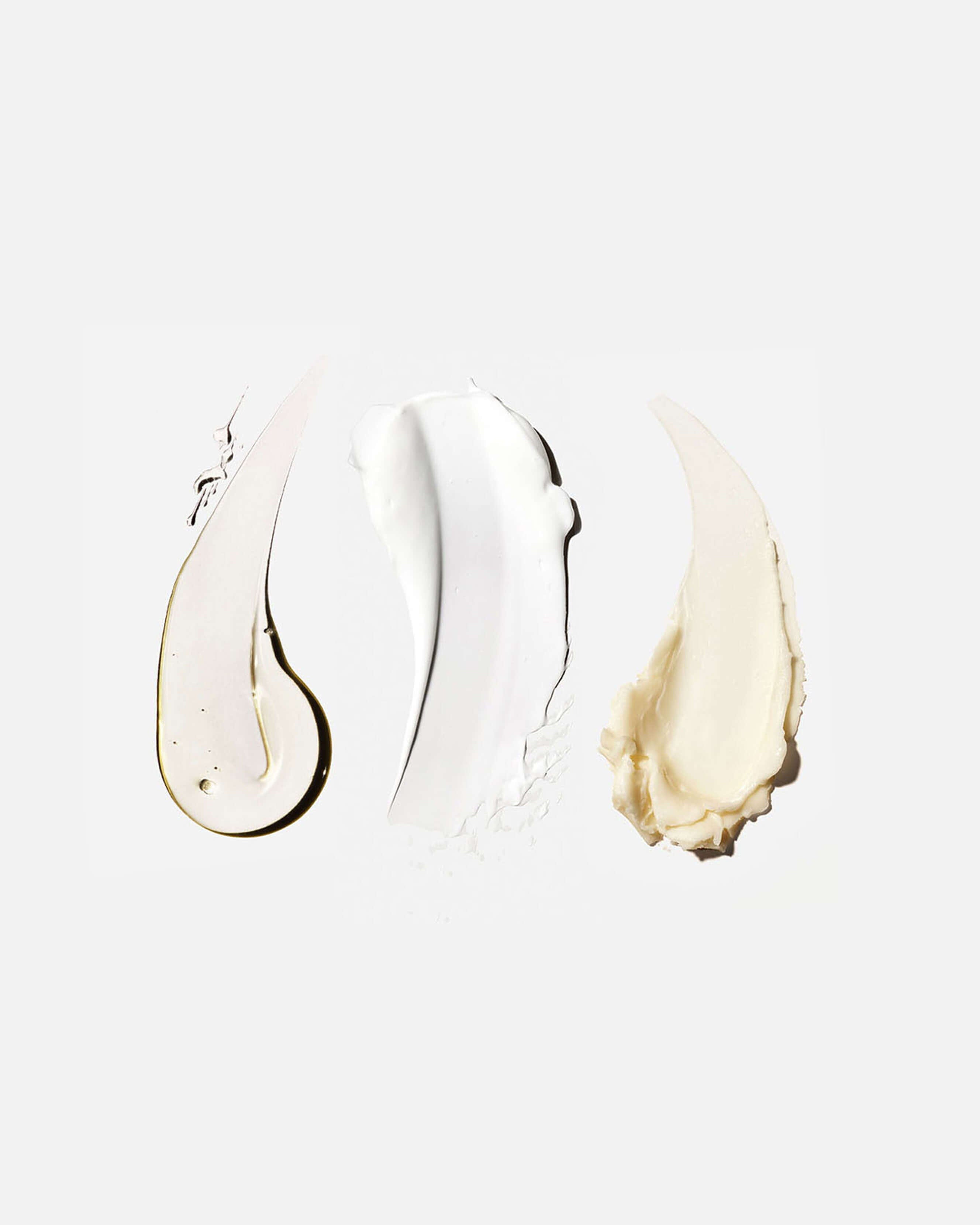 The Body Essentials 2