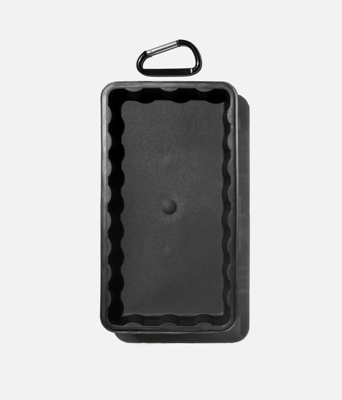 The Case 2