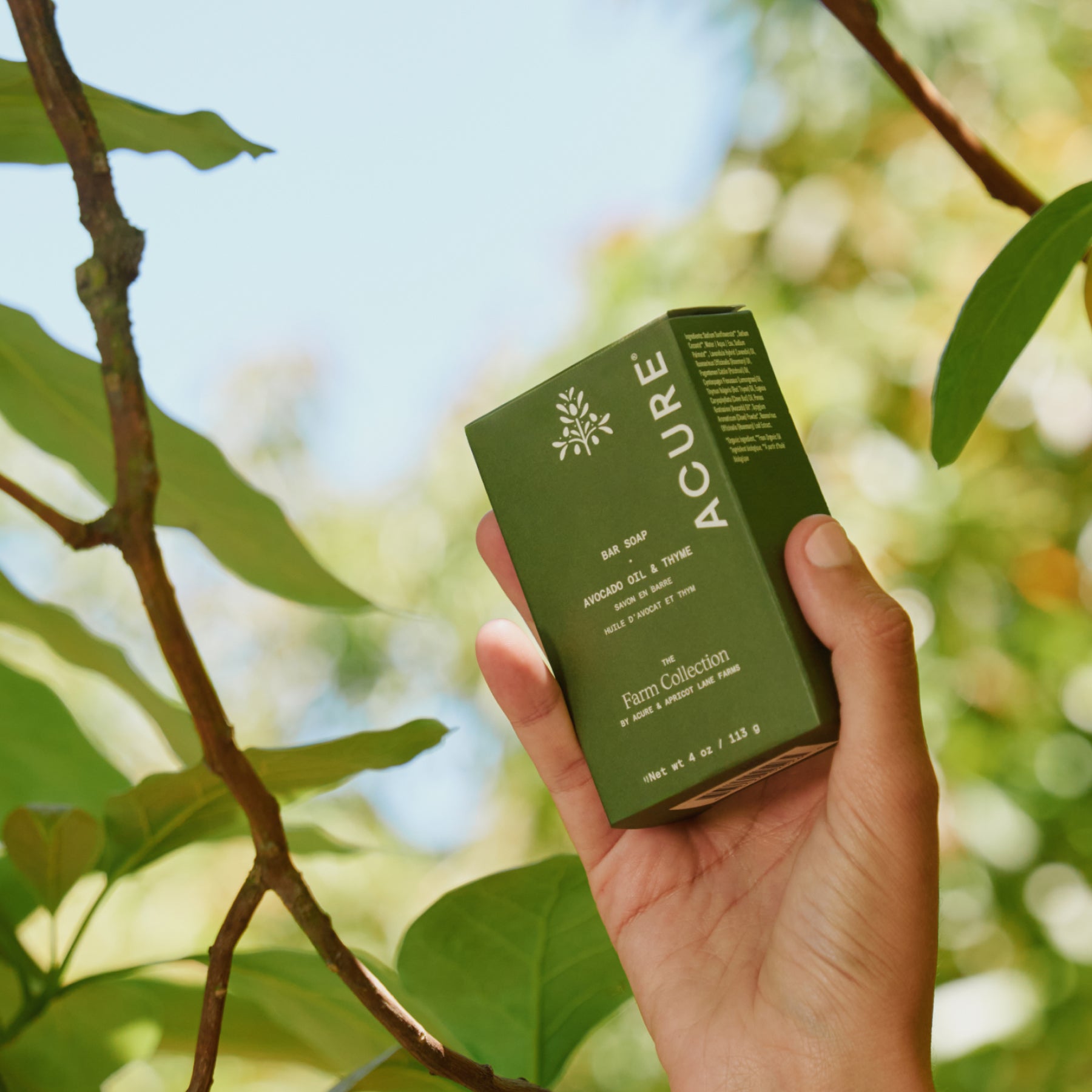 Thyme Bar Soap 2