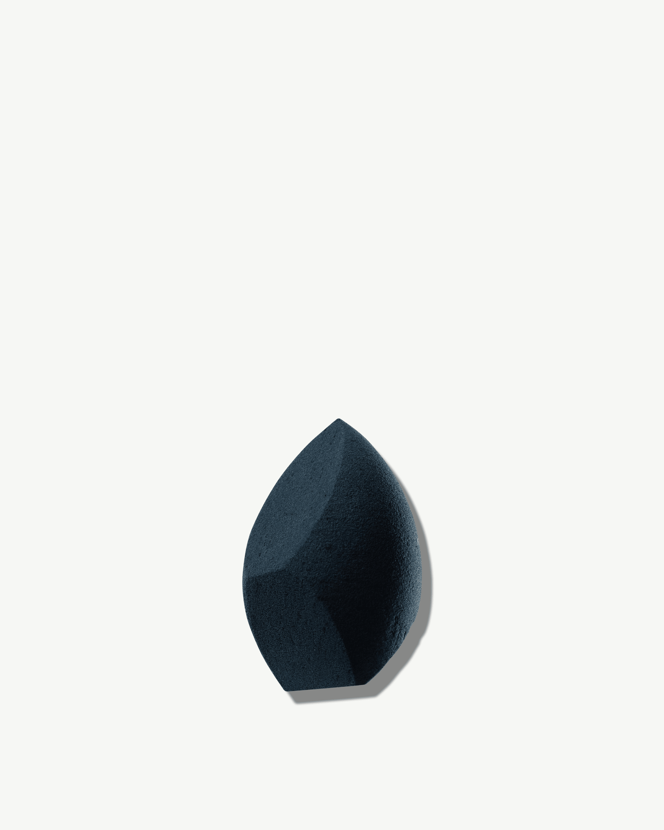 All In Complexion Sponge 1