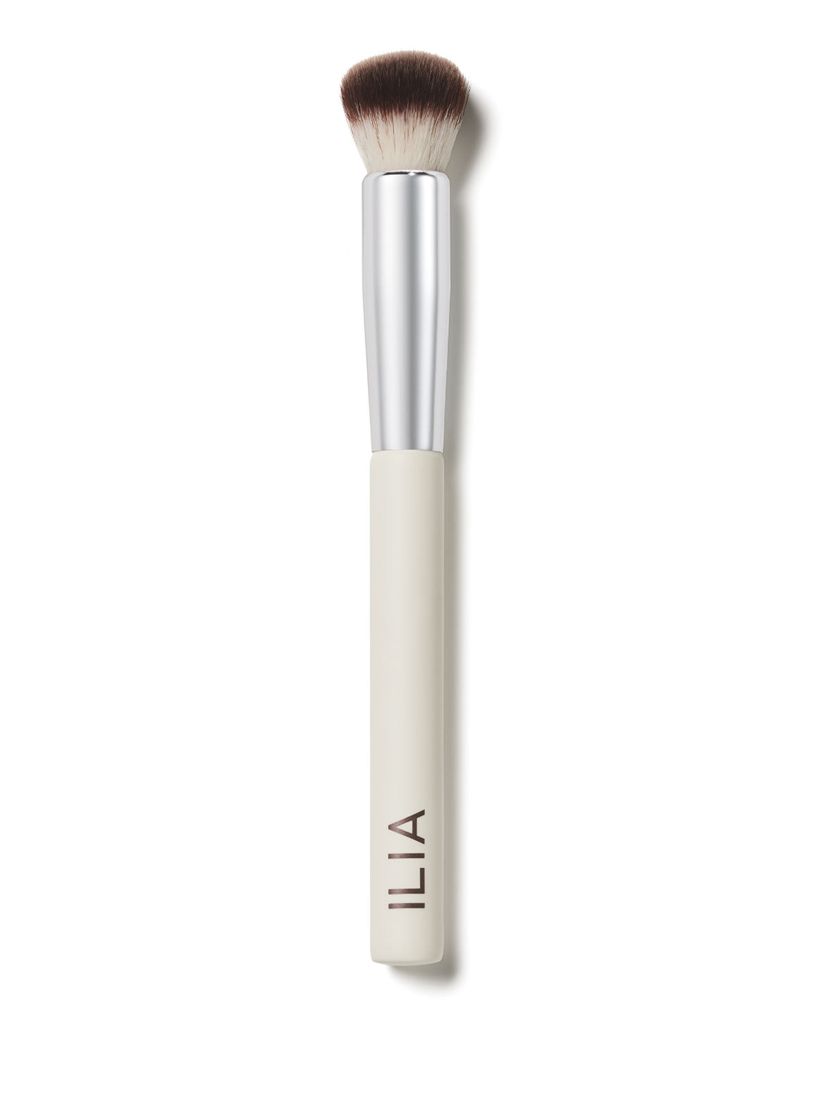 Complexion Brush 1