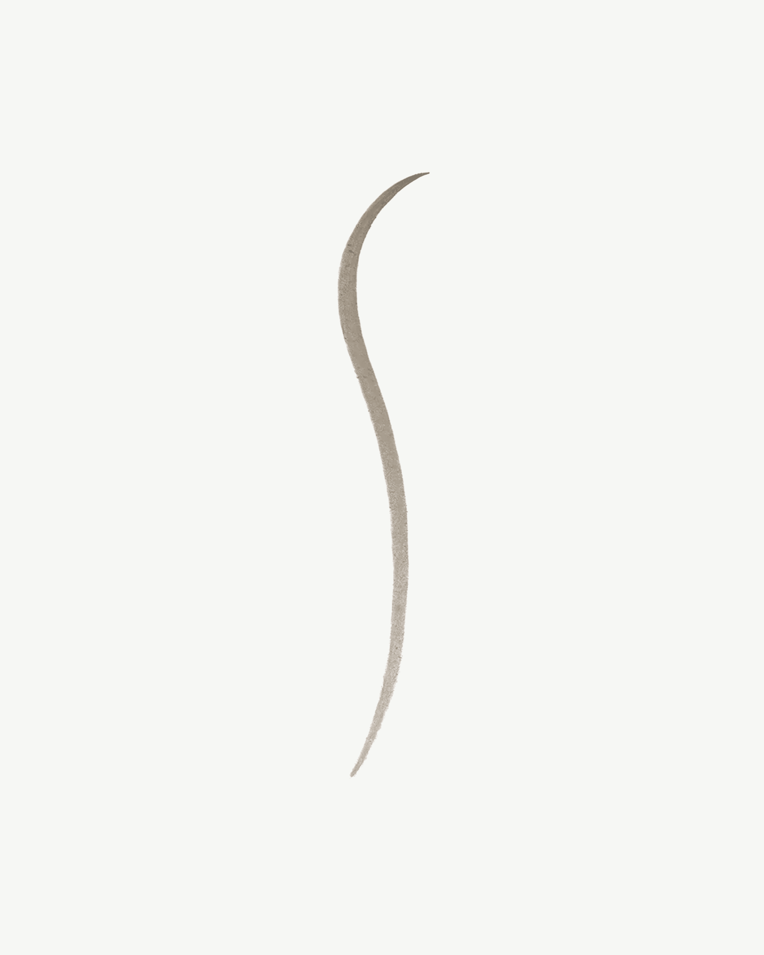 Bonne Brow Defining Pencil - Bark 6