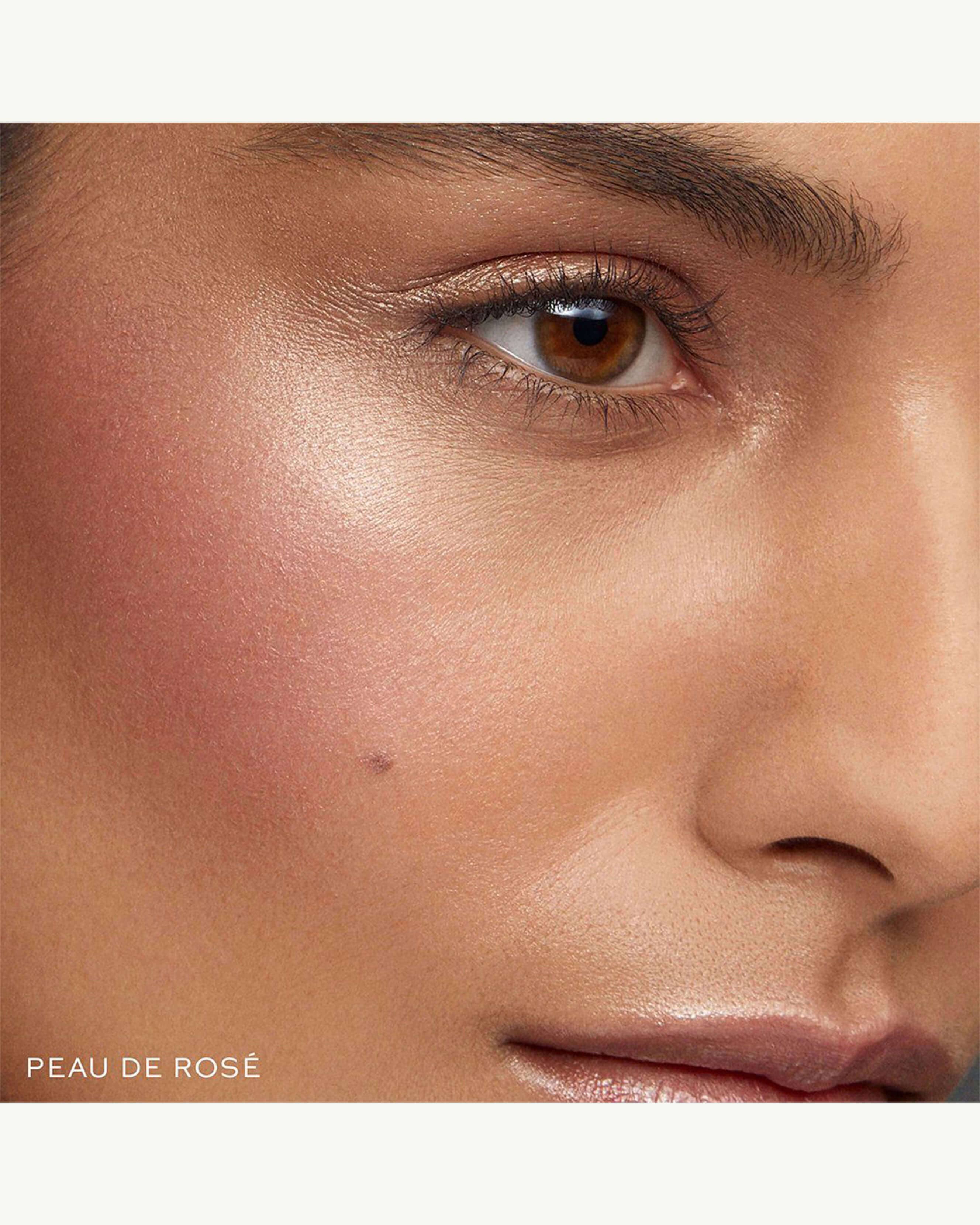 Super Loaded Tinted Highlight - Peau de Santé 11