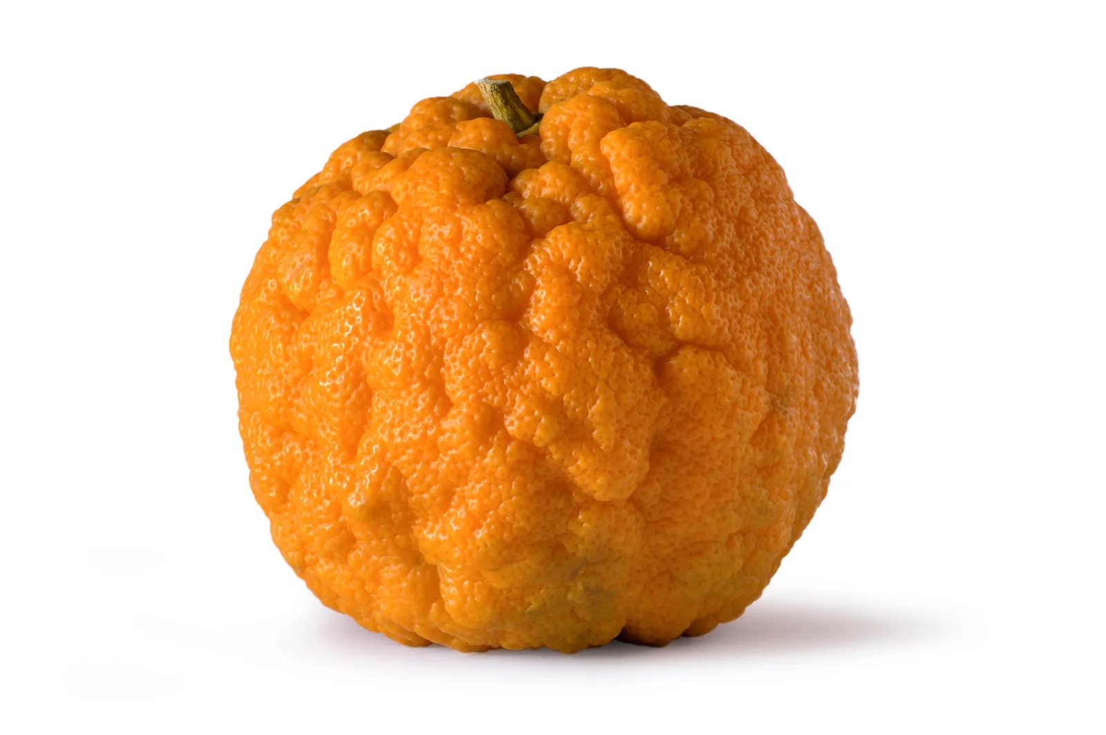 Citrus aurantium amara bitter orange leaf twig extract 7