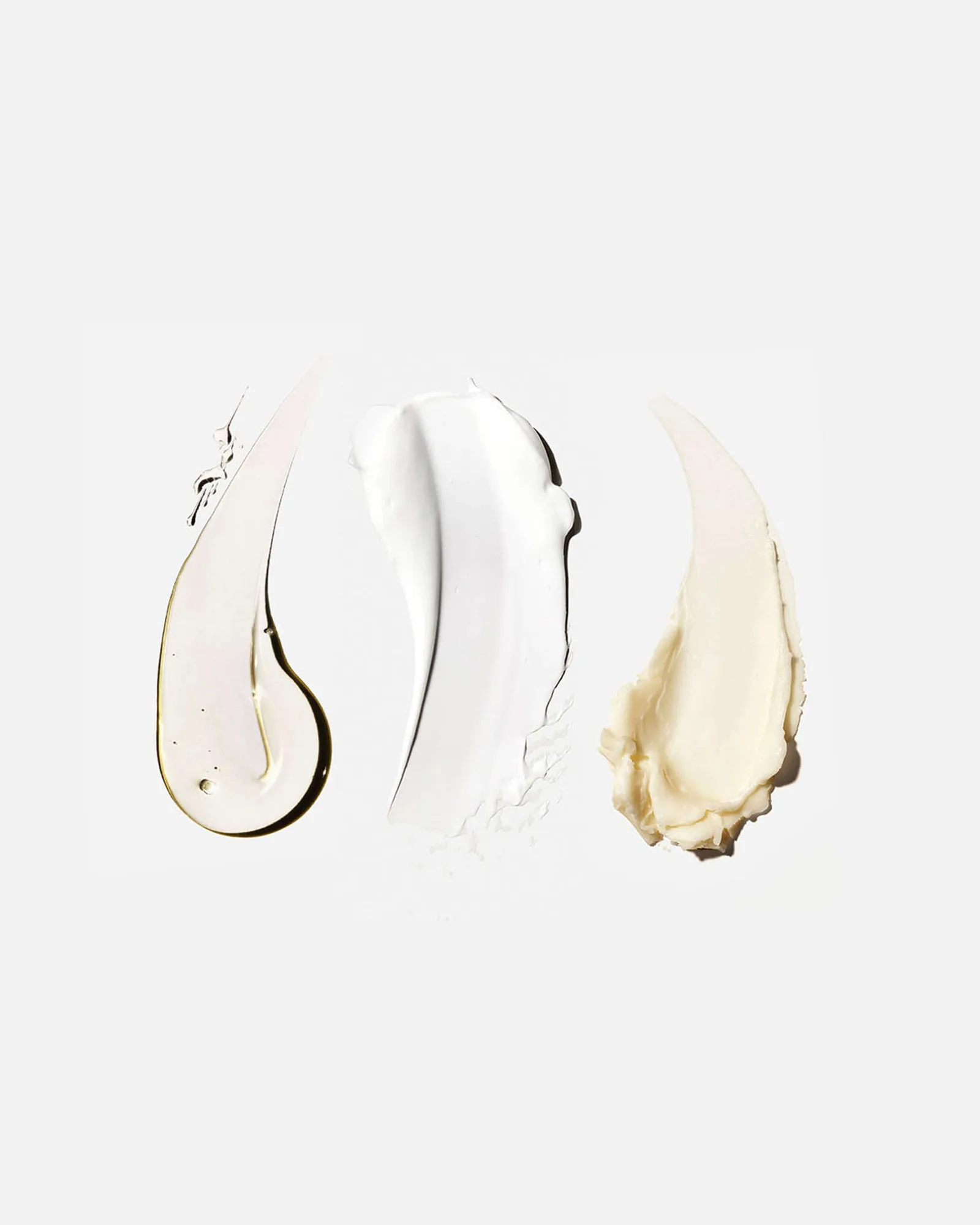 The Body Essentials 2