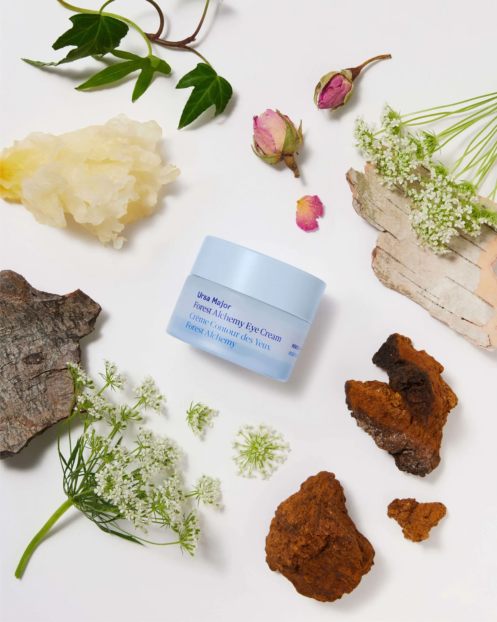 Forest Alchemy Eye Cream 4