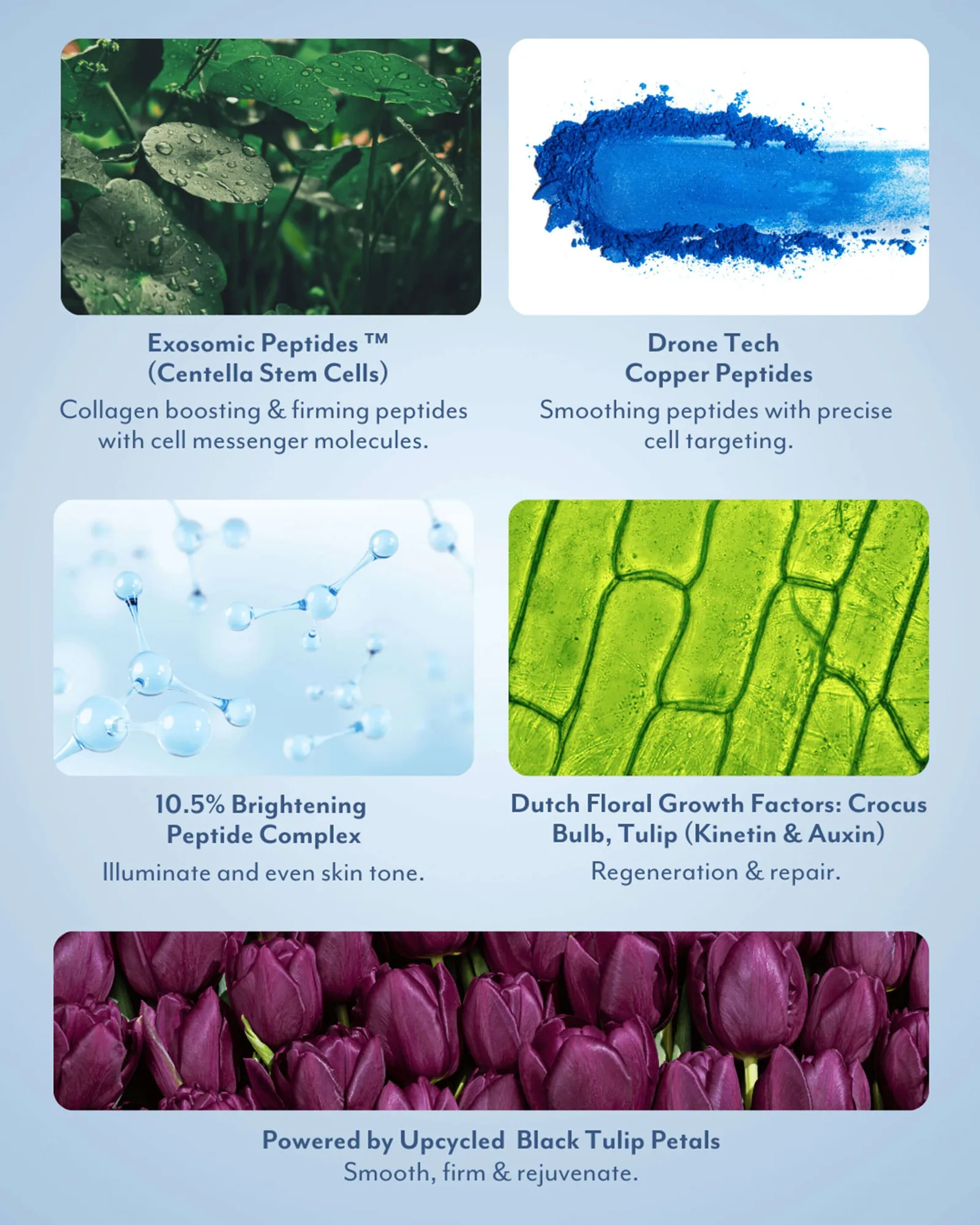 Black Tulip Regenerative Brightening Serum 5