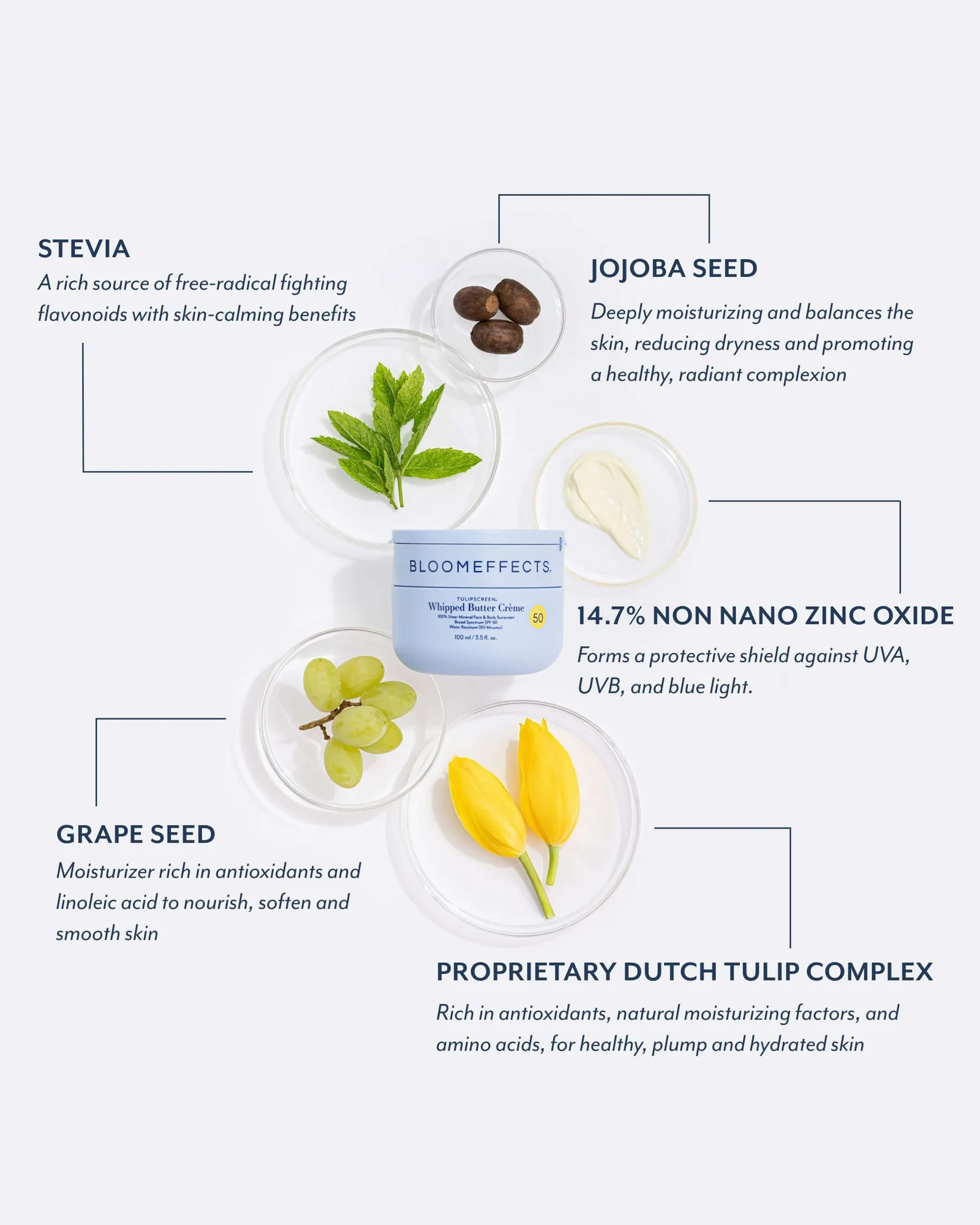Tulipscreen™ Whipped Butter Crème 8