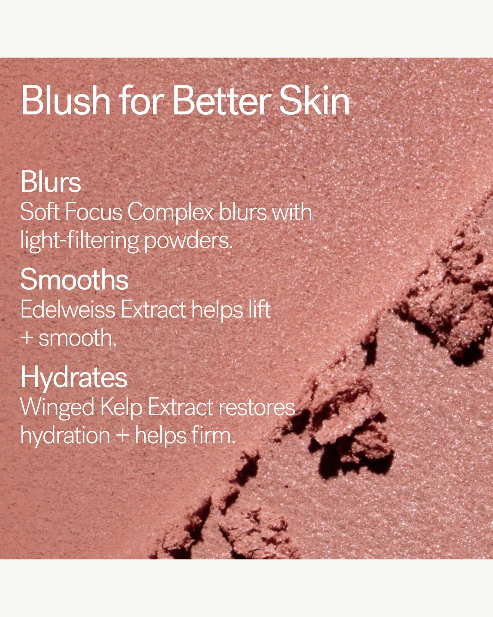 Soft Focus Blurring Blush 11