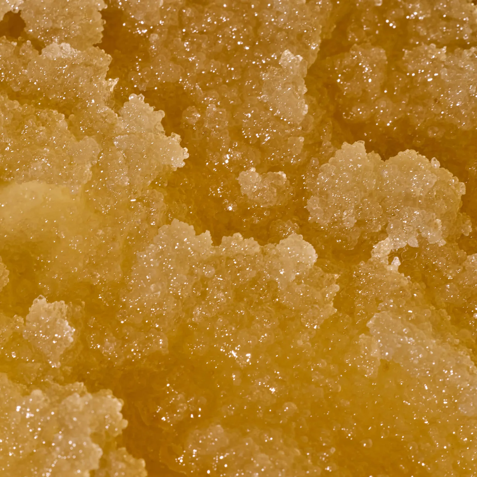 Sugar Body Scrub 5