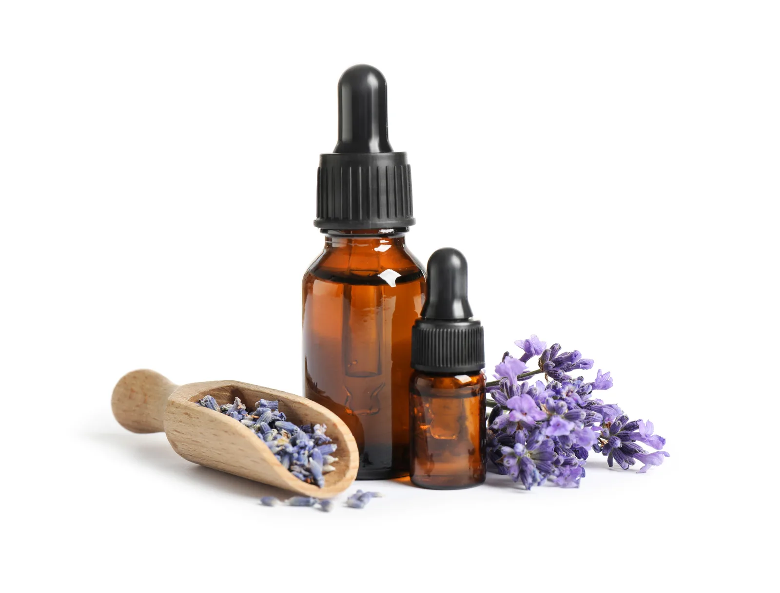 Lavender Flowers 31