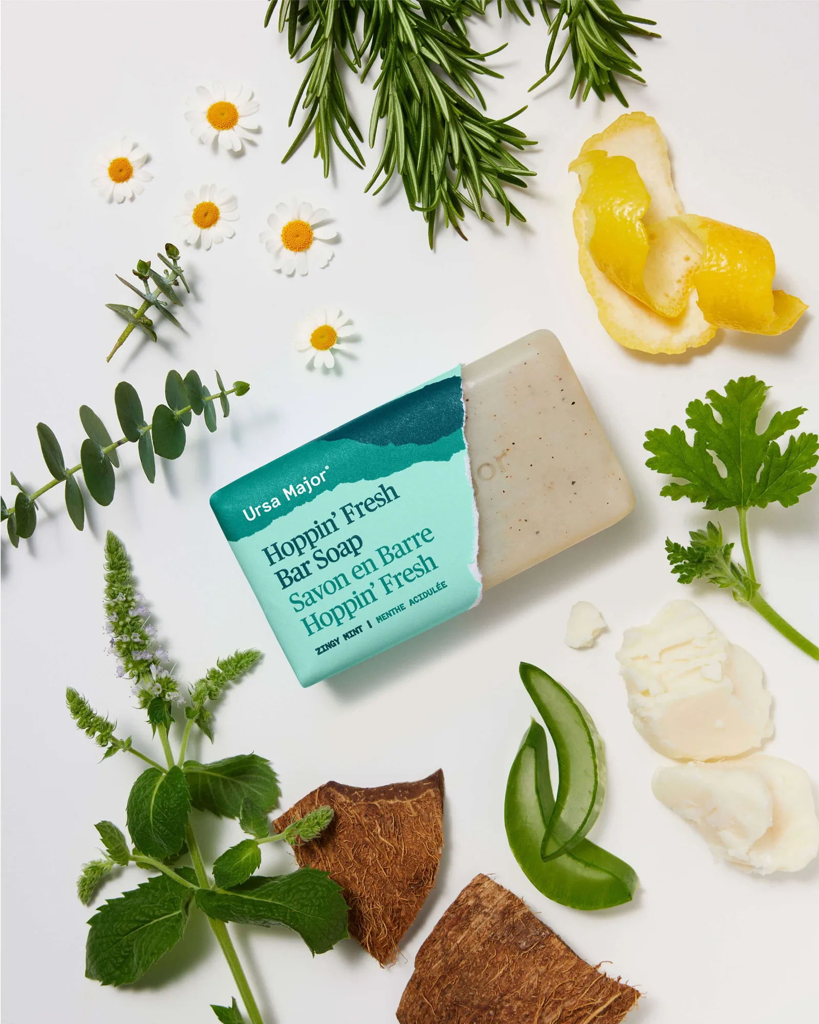 Hoppin’ Fresh Bar Soap 9