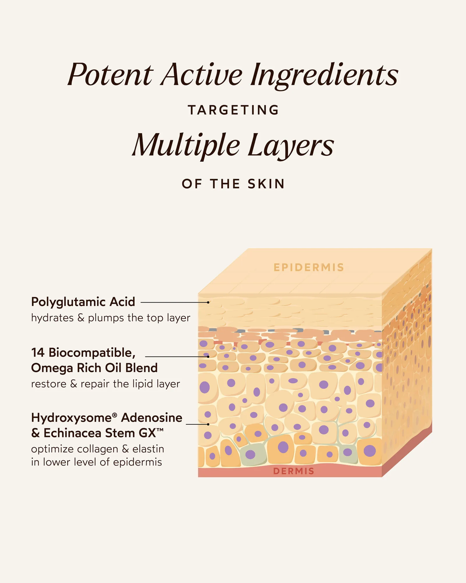 Pure Radiance Supreme Eye Cream 6
