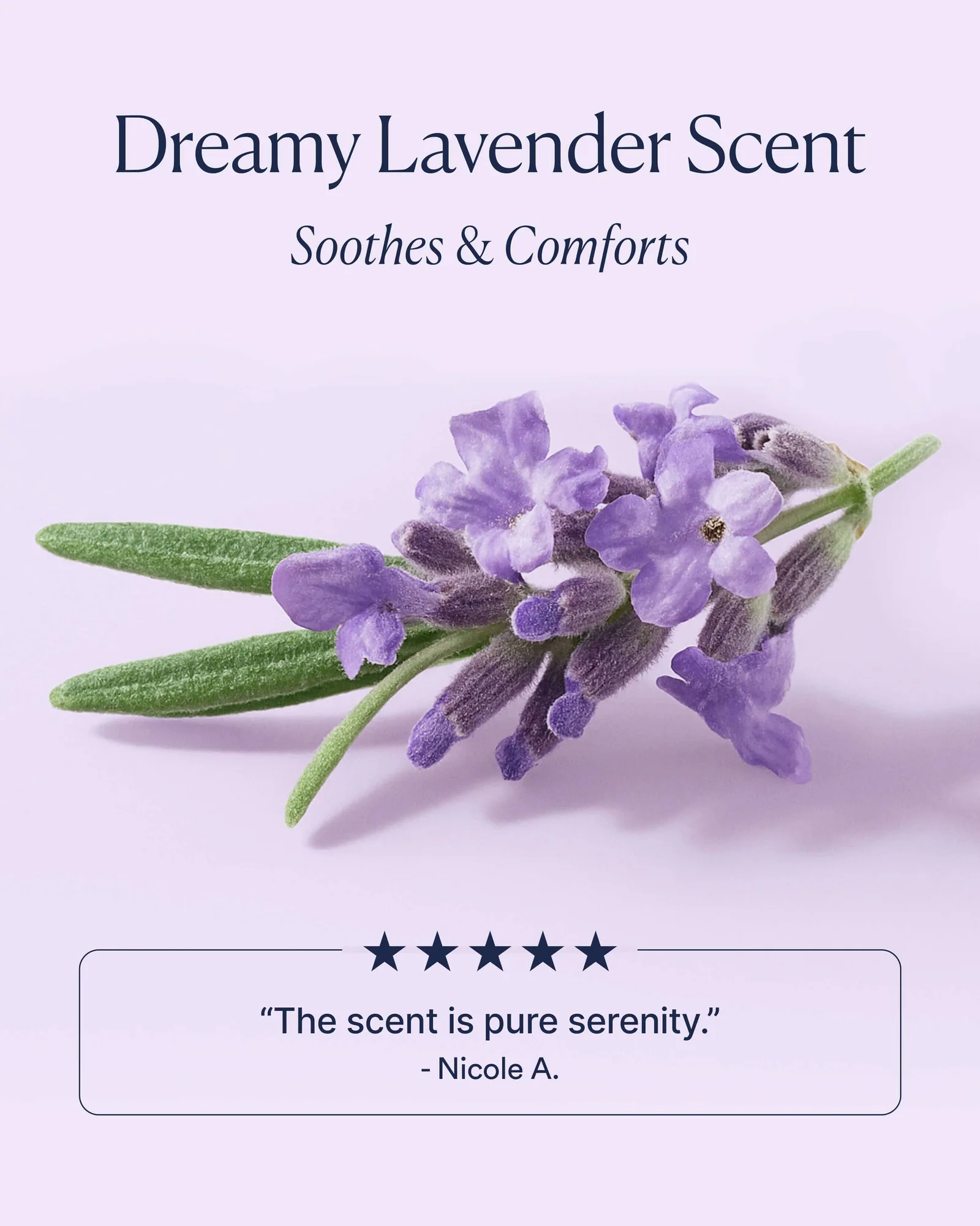 Dream Bio-Retinol Body Serum 9