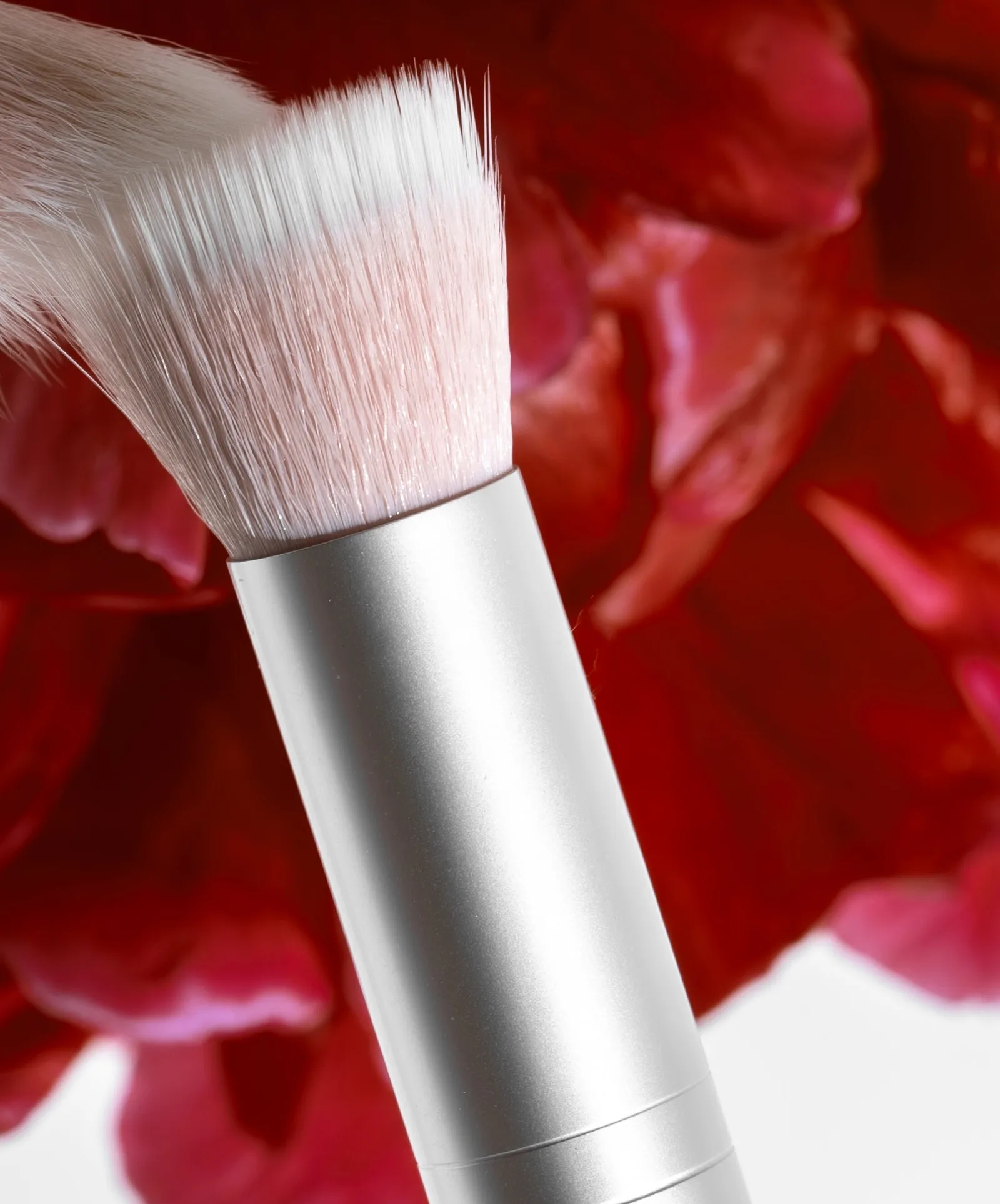 Skin2Skin Blush Brush 4