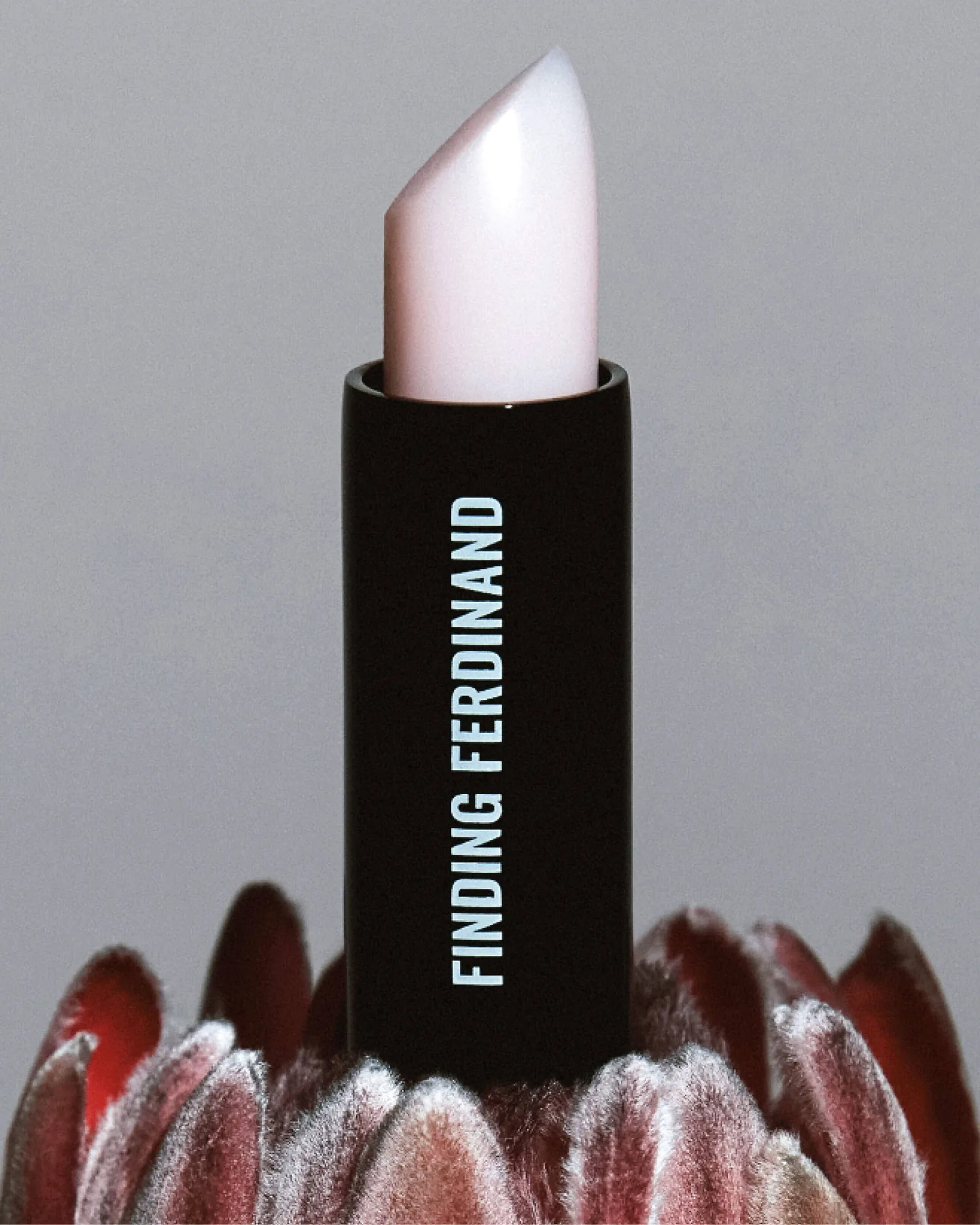 Morphosis Balms 12