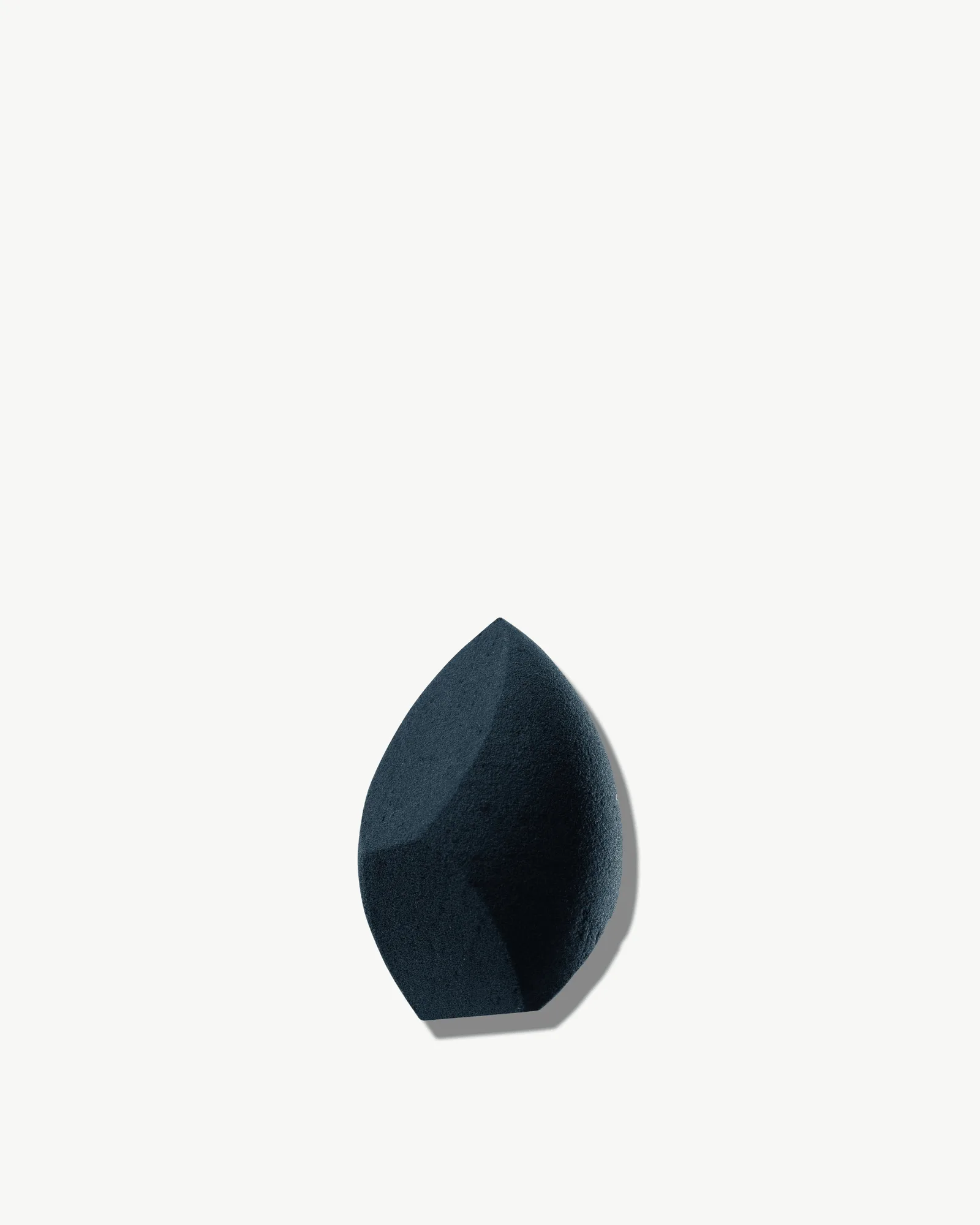 All In Complexion Sponge 1