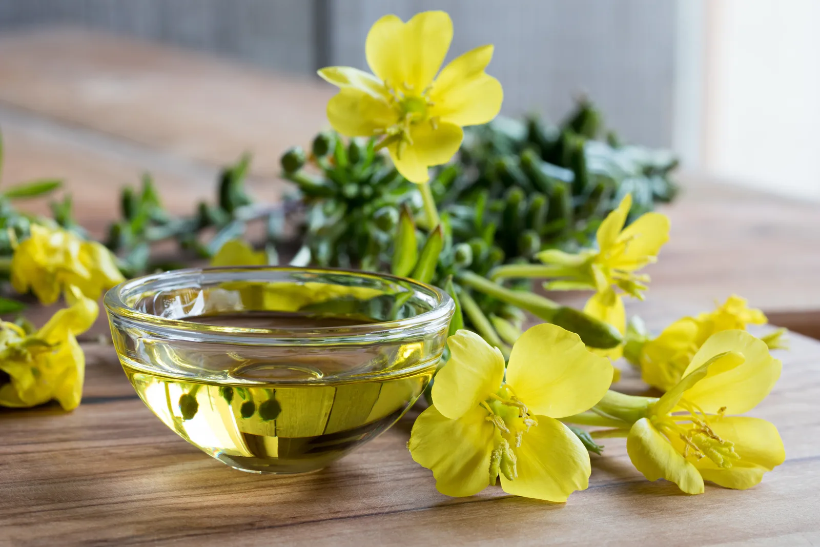 Evening primrose oil 6