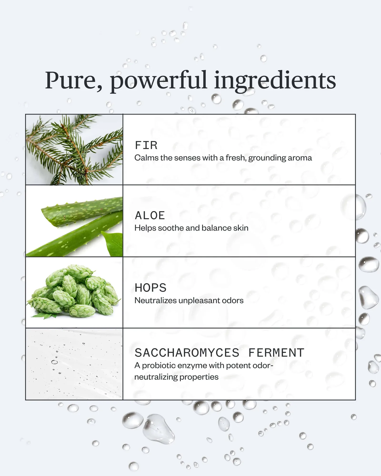 Forest Fix Spray Deodorant 7