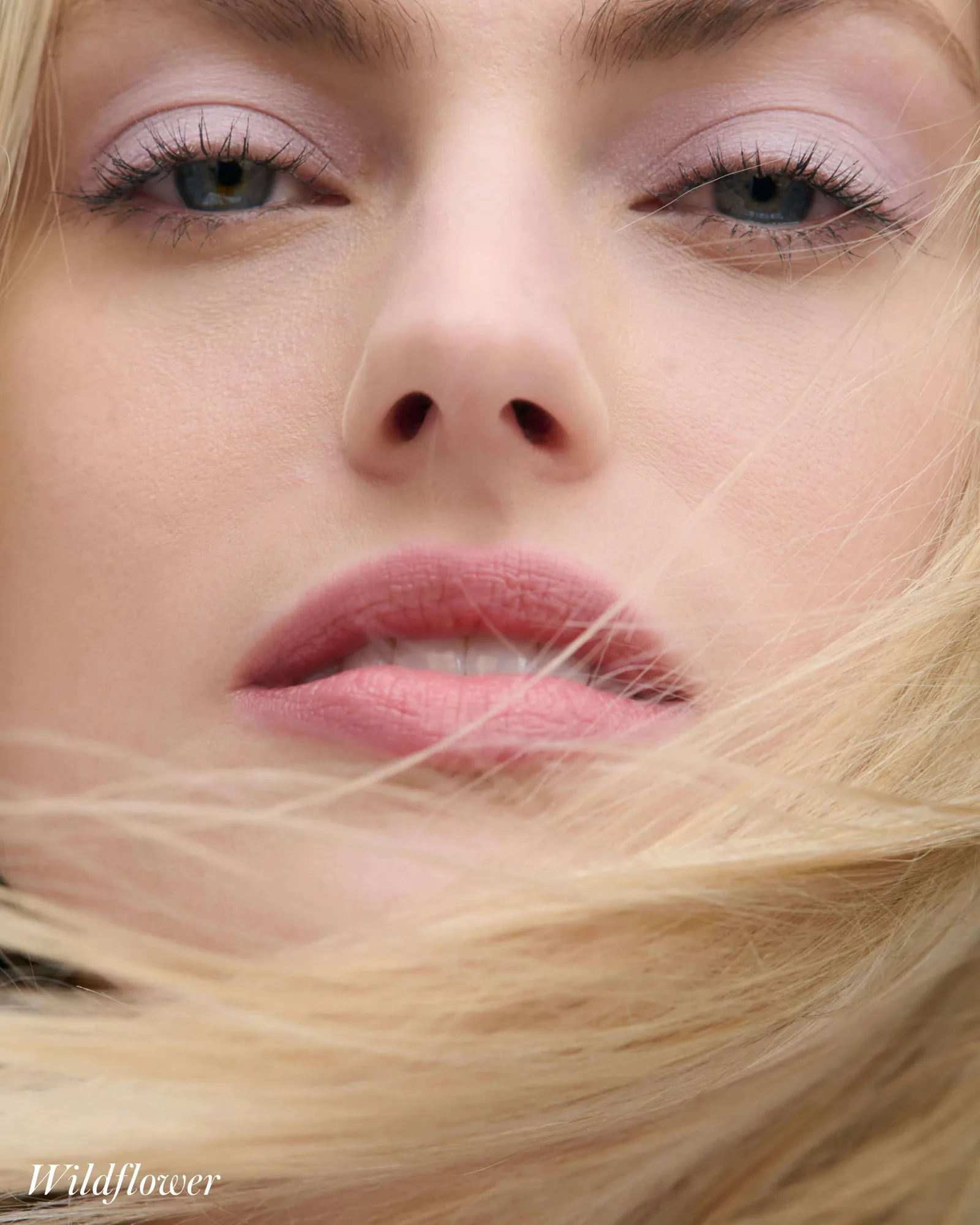 Cashmere Matte Eyelights 9