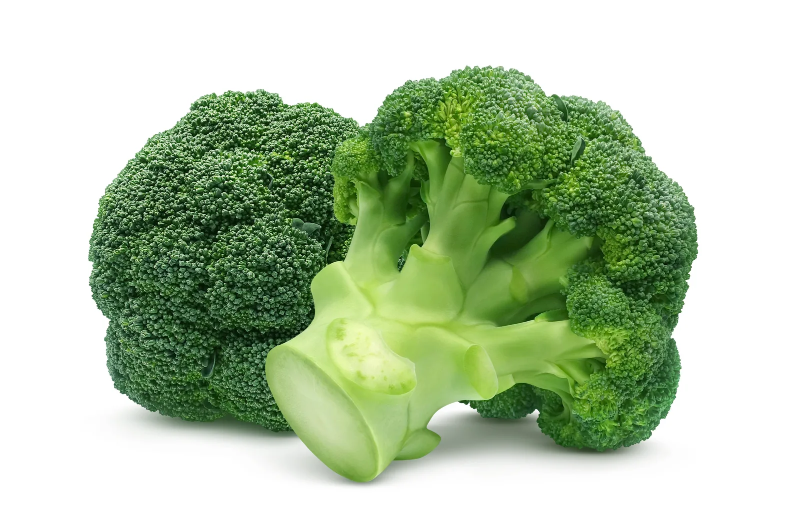 Brassica oleracea italica (Broccoli) seed oil 1