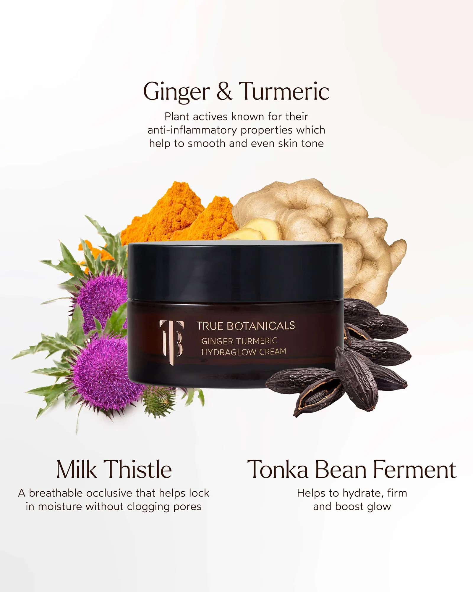 Ginger Turmeric HydraGlow Cream 7