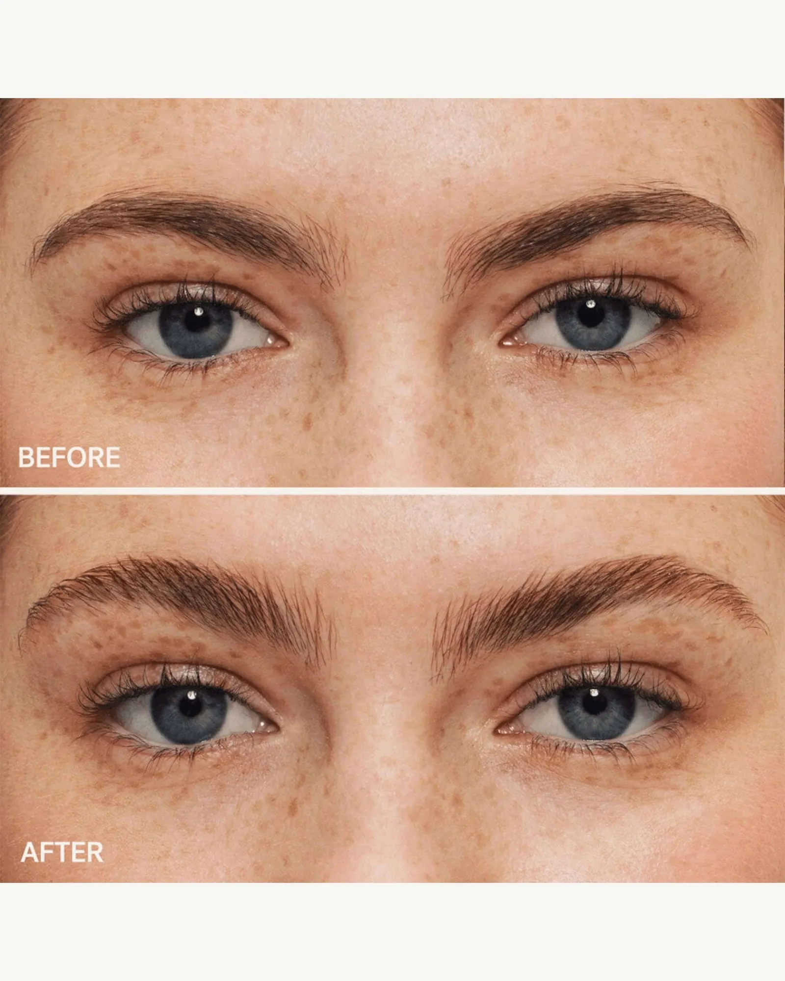 In Frame Brow Gel 5