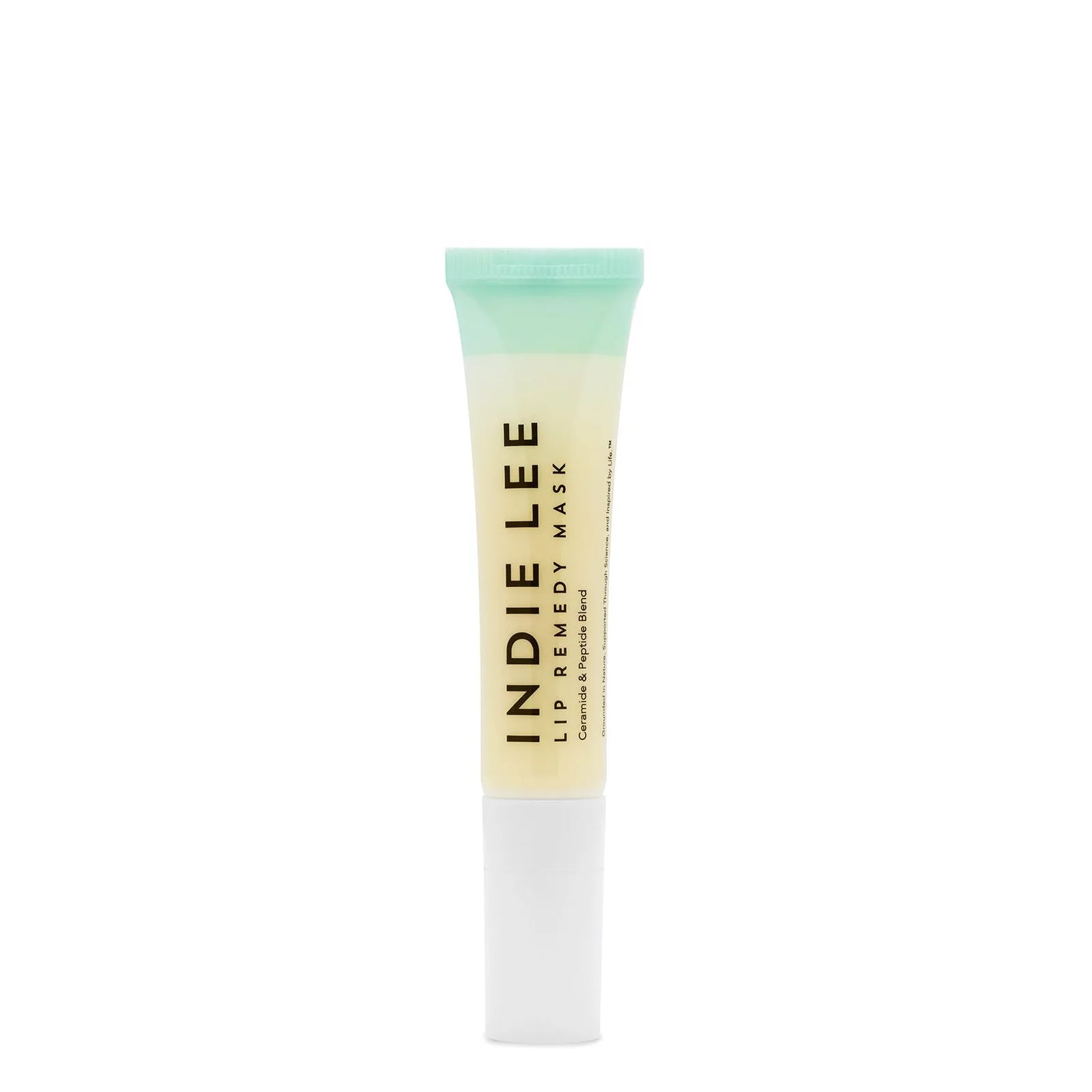 Lip Remedy Mask 1