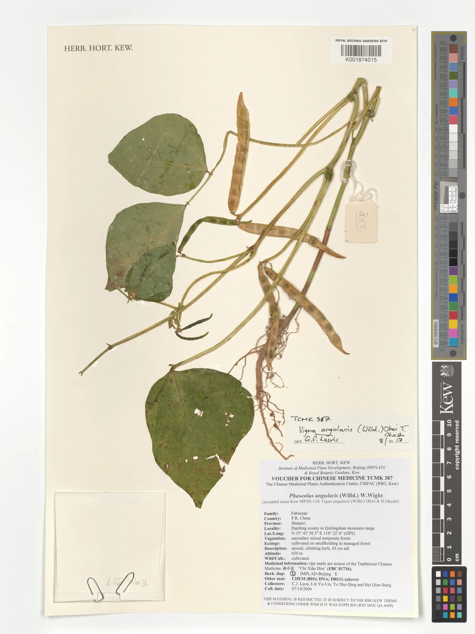 Vigna angularis (Azuki) bean powder 5