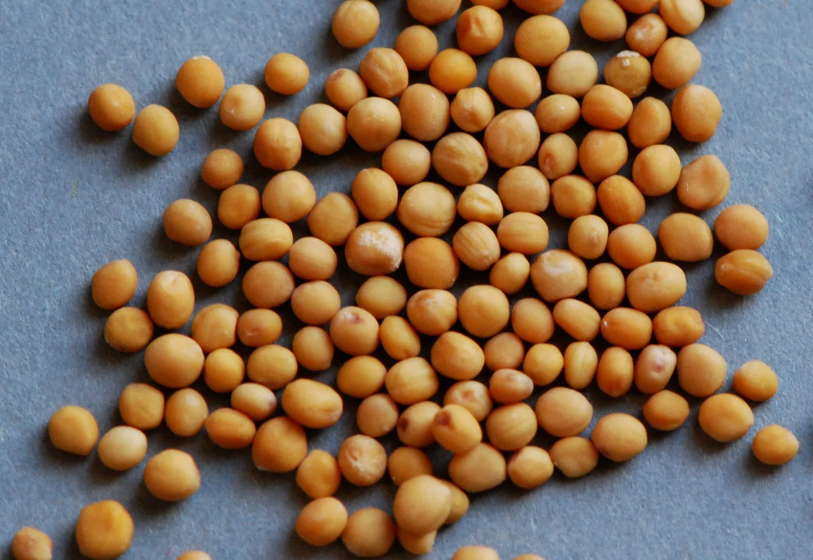 Mustard Seed Oil 2