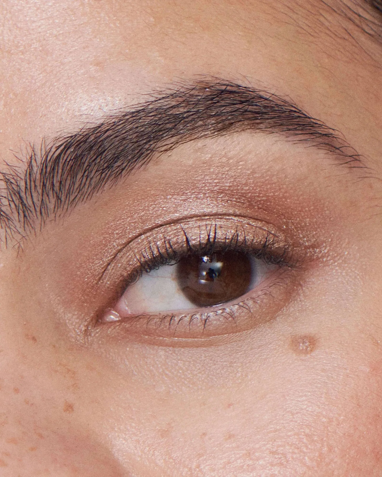 Liquid Powder Eye Tint 8