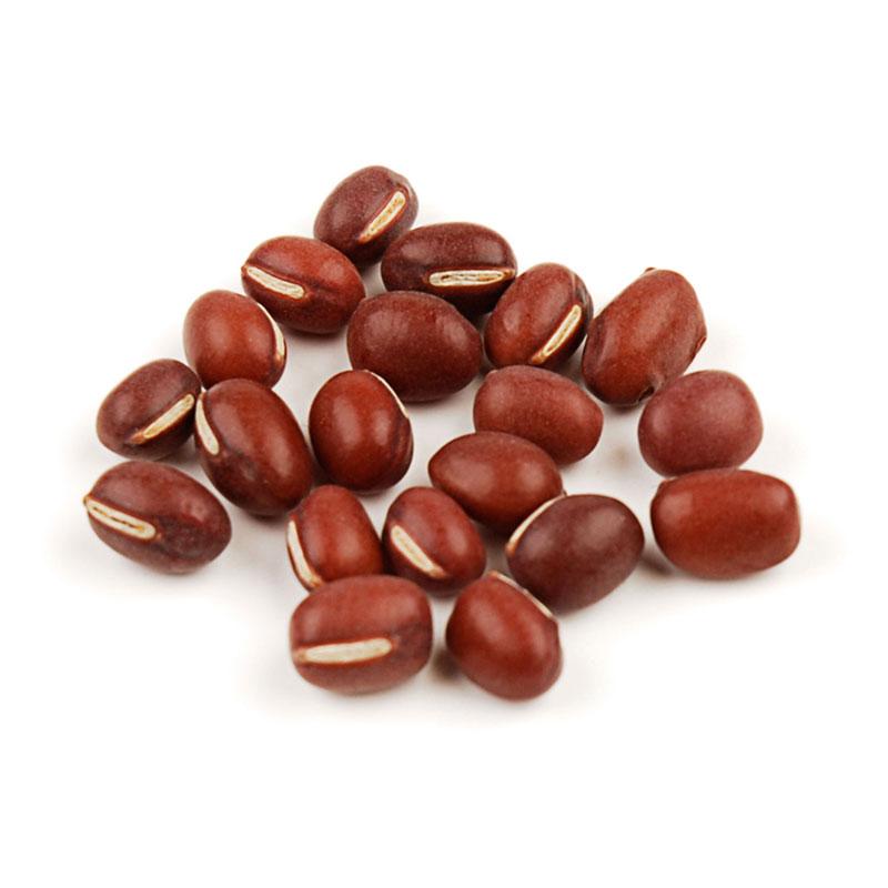 Adzuki Bean 1