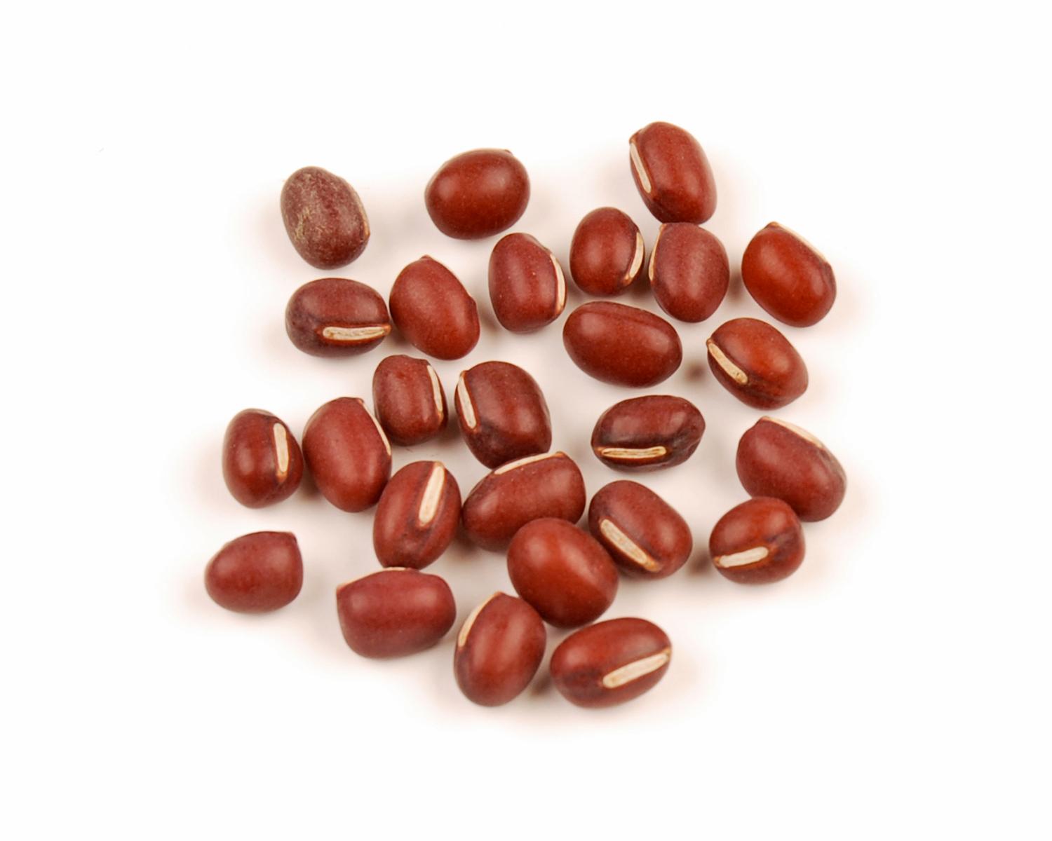 Adzuki Bean 4