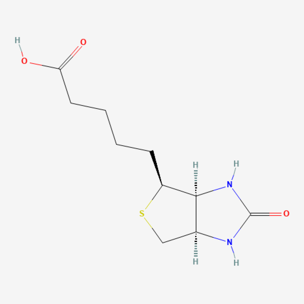 Allantoin Biotin 3