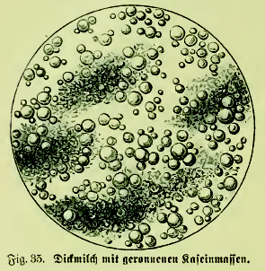 Casein Extract 5