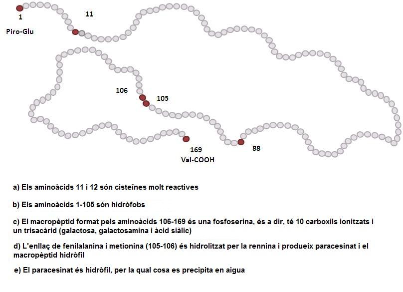 Casein Extract 9