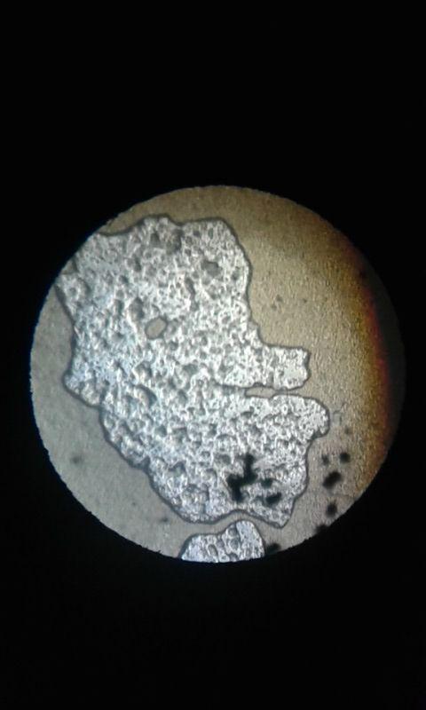 Casein Extract 3