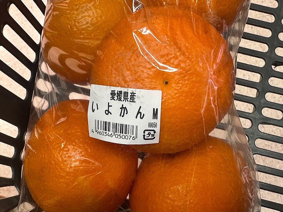 Citrus iyo fruit water 2