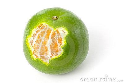 Citrus reticulata (Mandarin) peel oil 9