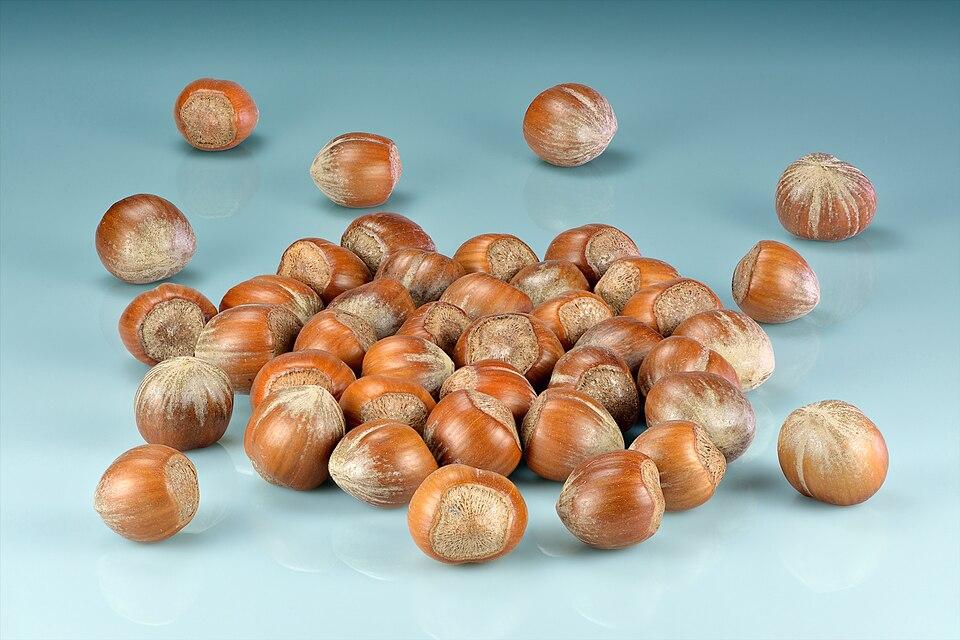 Corylus avellana (Hazelnut) leaf extract 1
