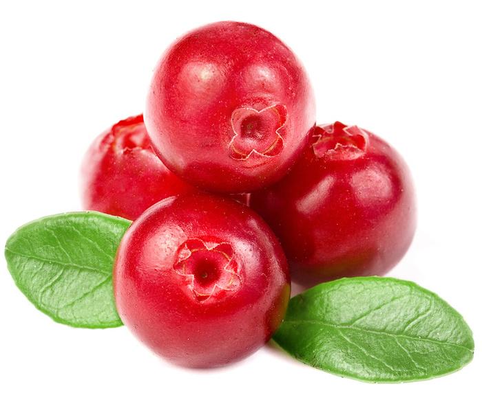 Cranberry 4