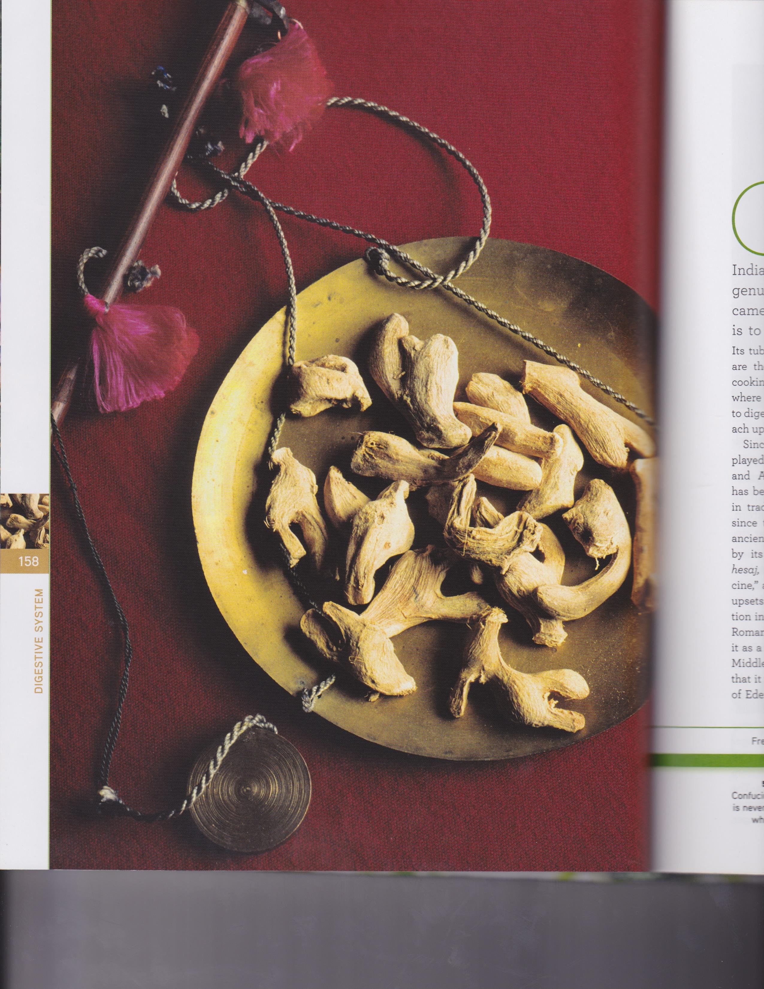 Ginger Root 6