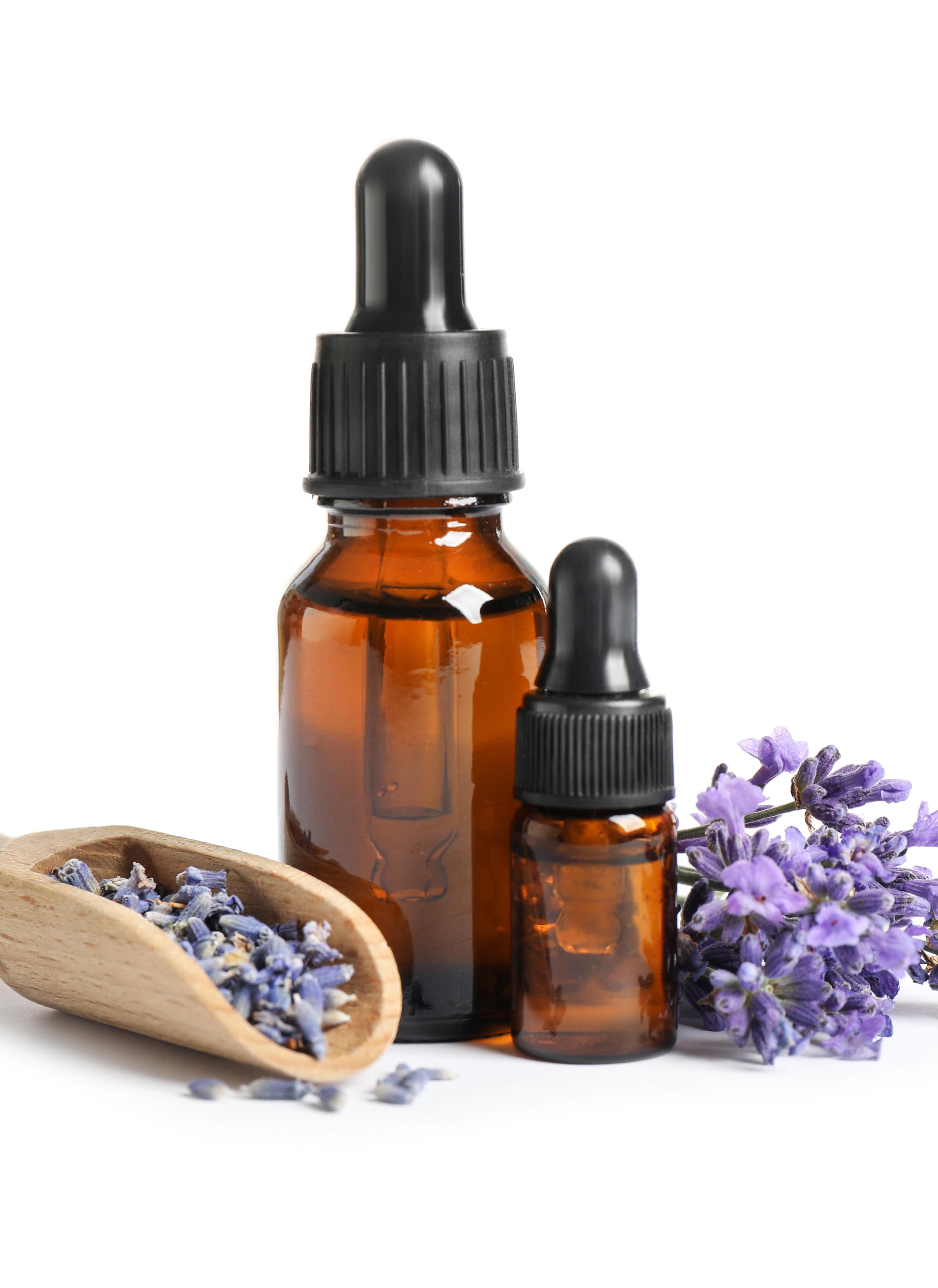 Lavender Flowers 31