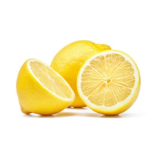 Lemon Balm 4