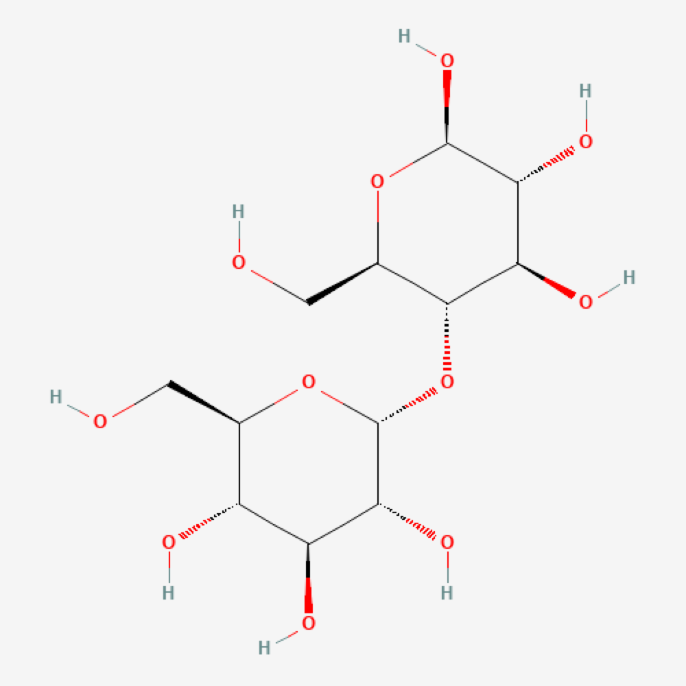 Maltose 2